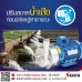 ปั๊มกรด ปั๊มด่าง ในทุกกระบวนการทางเคมี Tapflo Centrifugal Pump SS316L